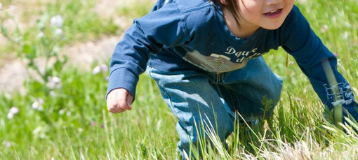 母衣幼稚園(島根県松江市)