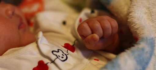 きくすいもとまち幼稚園(札幌市白石区)