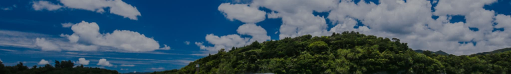 都道府県別 移住ガイド