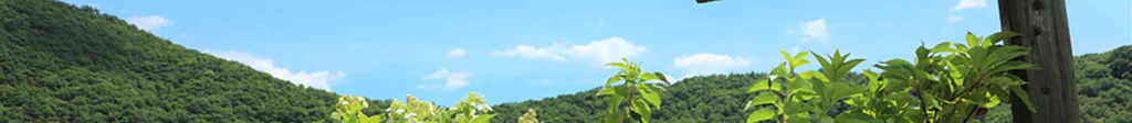 宮城県