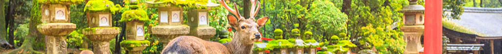 奈良県